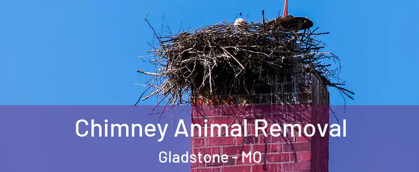Chimney Animal Removal Gladstone - MO