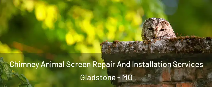  Chimney Animal Screen Repair And Installation Services Gladstone - MO