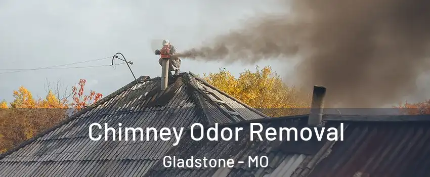  Chimney Odor Removal Gladstone - MO