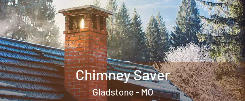  Chimney Saver Gladstone - MO