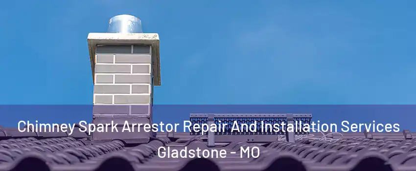  Chimney Spark Arrestor Repair And Installation Services Gladstone - MO