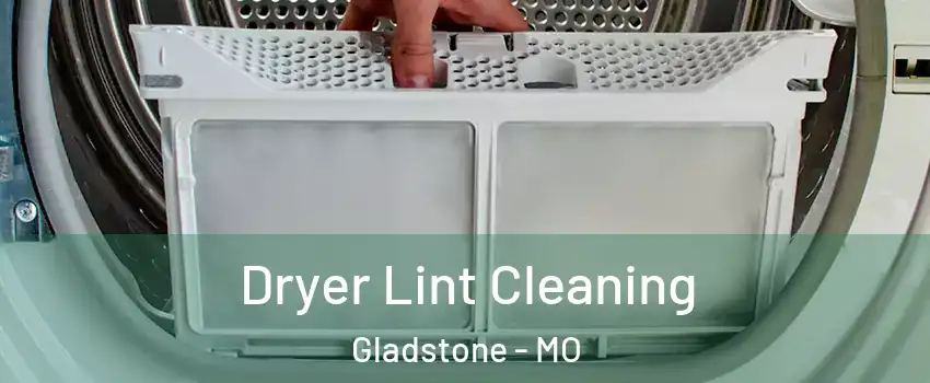  Dryer Lint Cleaning Gladstone - MO