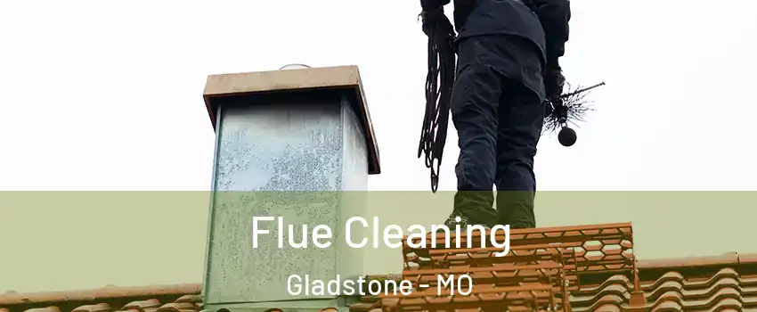  Flue Cleaning Gladstone - MO