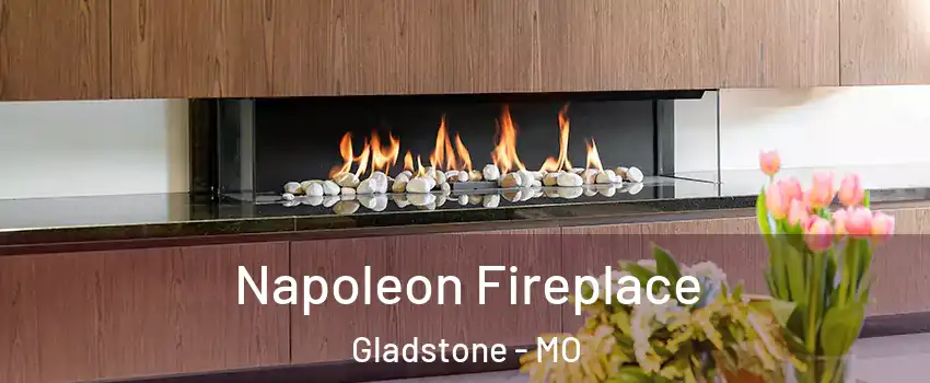  Napoleon Fireplace Gladstone - MO