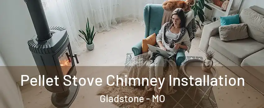  Pellet Stove Chimney Installation Gladstone - MO